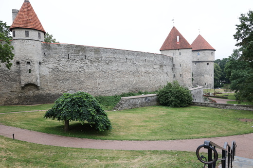 028A4988.JPG
