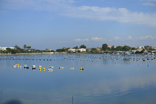 DSC_6866.JPG