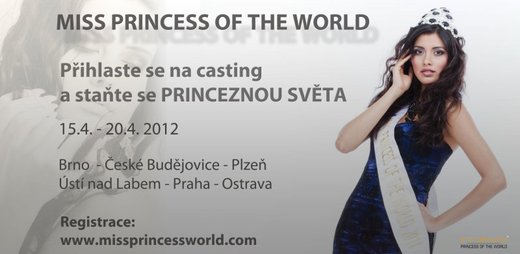 princess2012_banner_castingy_cr.jpg