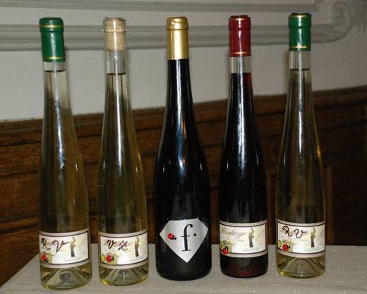 vino1.jpg